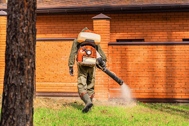 Trusted Fumigation Services service in San Diego, TX - Nex Pest Control